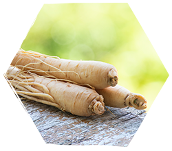 Ginseng