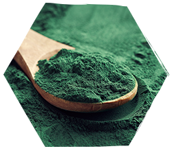 Spiruline